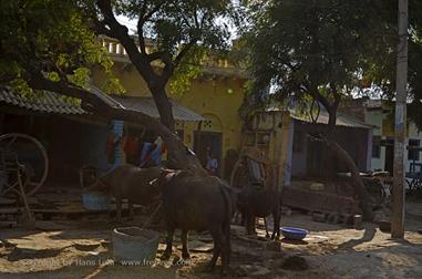 03 PKW-Reise_Fatehpur_Sikri-Agra_DSC5493_b_H600